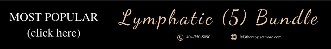 Lymphatic Bundle 